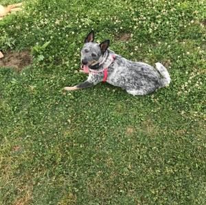 Meet your Posher, Raylynn